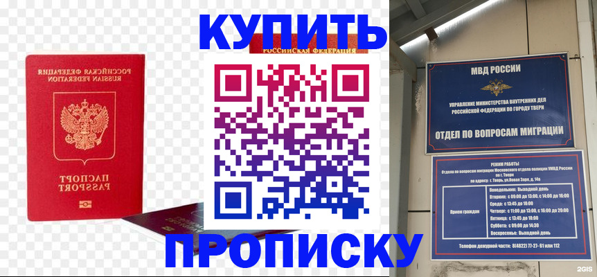 купить прописку в Светлогорске